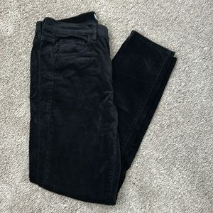 Loft Velour Skinny Pants in size 4